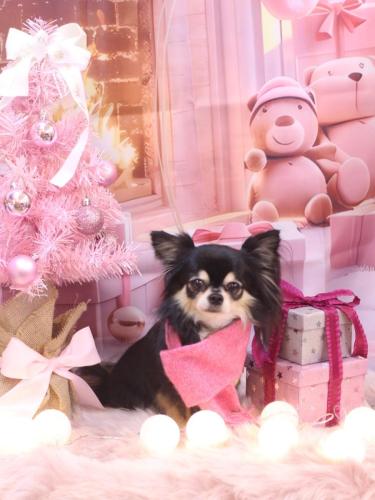 20241201アリューくん